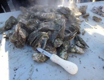 Hatteras Island Oyster Roast